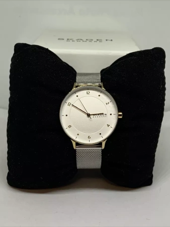 Часы наручные Skagen SKW2912