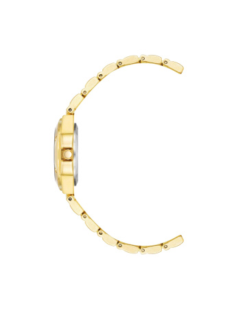 Часы наручные Anne Klein 10/8654CHGP