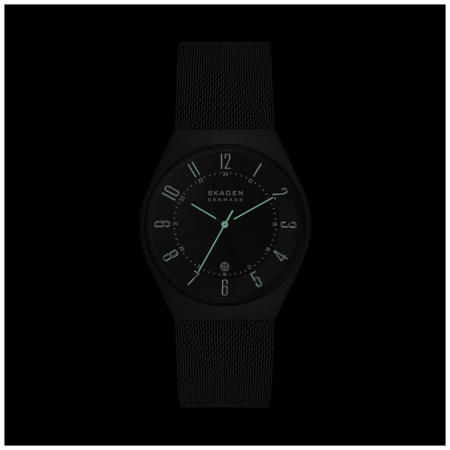 Часы наручные Skagen SKW6817 