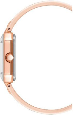 Часы наручные Anne Klein AK/4162BMRG