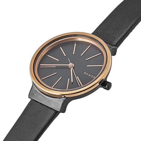 Часы наручные Skagen SKW2480