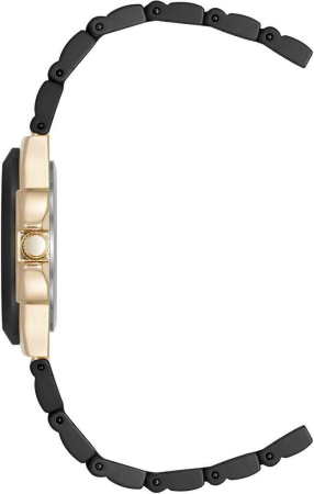 Часы наручные Anne Klein AK/5112GPBK