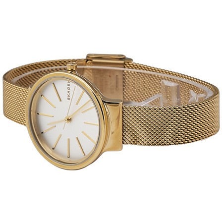 Часы наручные Skagen SKW2477 Часы наручные Skagen SKW2477