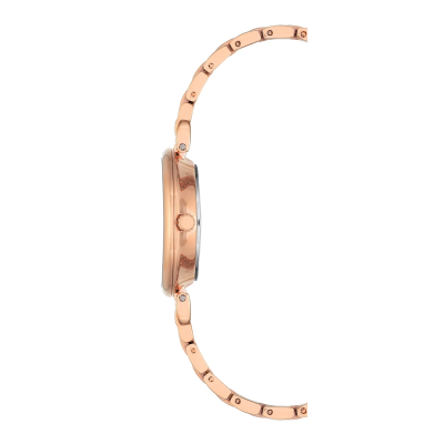 Часы наручные Anne Klein AK/2158RGRG