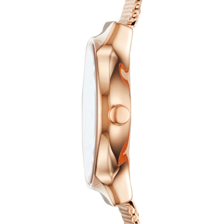 Часы наручные Skagen SKW2665 