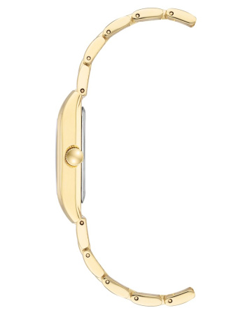 Часы наручные Anne Klein AK/3954GNGB