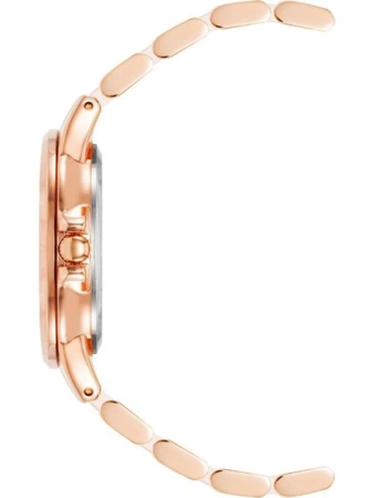 Часы наручные Anne Klein AK/4120BHRG