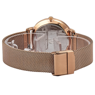 Часы наручные Skagen SKW2675