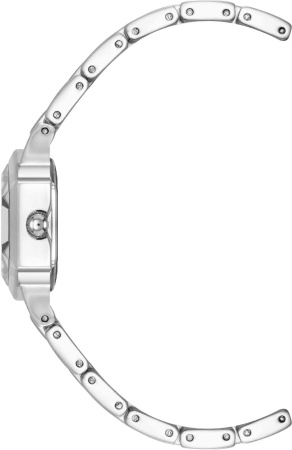 Часы наручные Anne Klein AK/5107SVSV