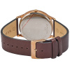 Часы наручные Skagen SKW6330 Часы наручные Skagen SKW6330