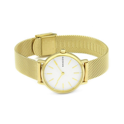 Часы наручные Skagen SKW2693 