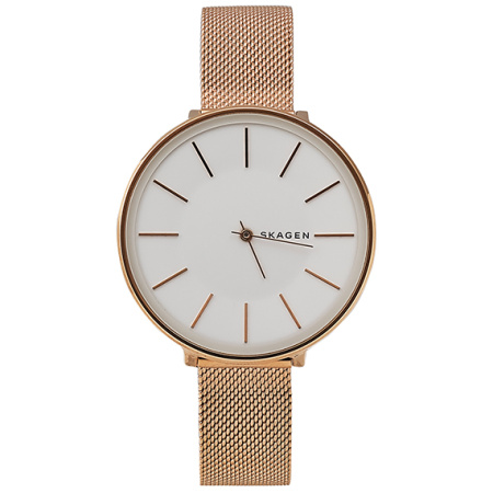 Часы наручные Skagen SKW2688