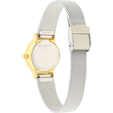 Часы наручные Skagen SKW2666 
