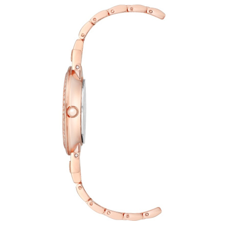 Часы наручные Anne Klein AK/2928GNRG