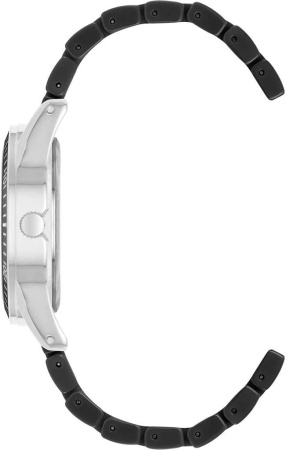 Часы наручные Anne Klein AK/5069SVBK