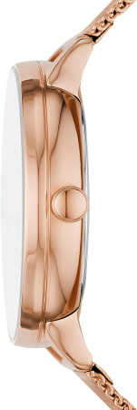 Часы наручные Skagen SKW2918