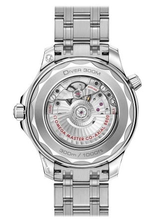 Часы наручные Omega 21030422001001