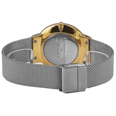 Часы наручные Skagen SKW2381