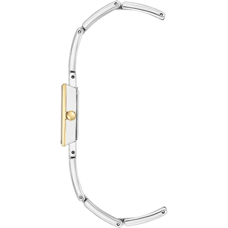 Часы наручные Anne Klein AK/3945SVTT