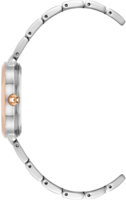 Часы наручные Anne Klein AK/5021SVRT Часы наручные Anne Klein AK/5021SVRT