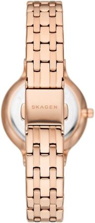 Часы наручные Skagen SKW3128