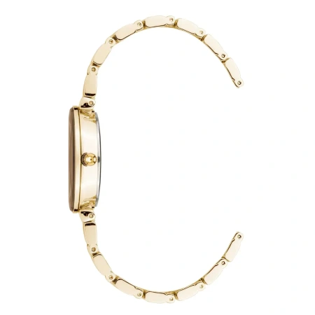 Часы наручные Anne Klein AK/2434BMGB