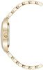Часы наручные Anne Klein AK/5132SVGB