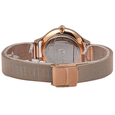 Часы наручные Skagen SKW2151