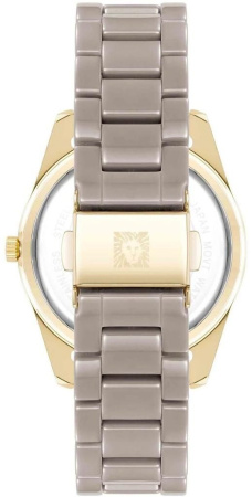 Часы наручные Anne Klein AK/5068GPTP