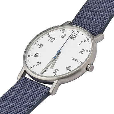 Часы наручные Skagen SKW6356