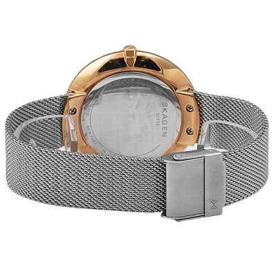 Часы наручные Skagen SKW2583