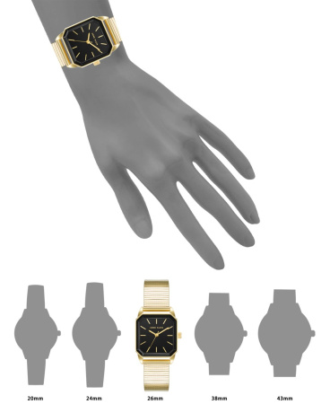 Часы наручные Anne Klein AK/5016BKGB