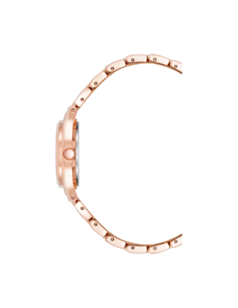 Часы наручные Anne Klein 10/5490MVRG