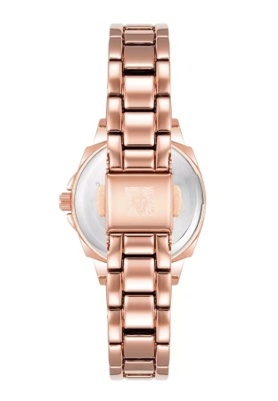 Часы наручные Anne Klein AK/4166WTRG