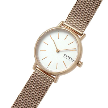 Часы наручные Skagen SKW2694  Часы наручные Skagen SKW2694