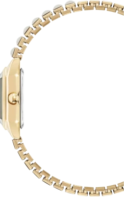 Часы наручные Anne Klein AK/5364MPGB