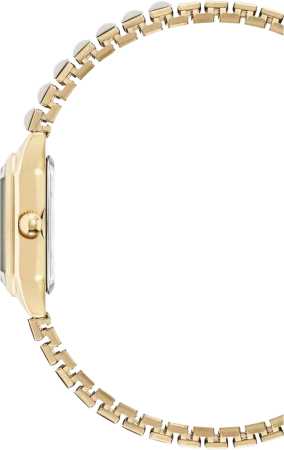 Часы наручные Anne Klein AK/5364MPGB