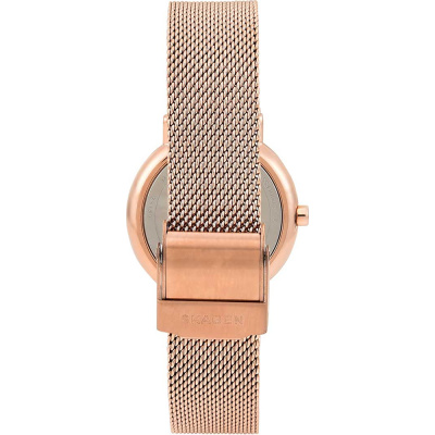 Часы наручные Skagen SKW2694 