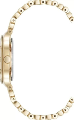 Часы наручные Anne Klein AK/5170CHGB