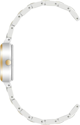 Часы наручные Anne Klein AK/4011SVTT