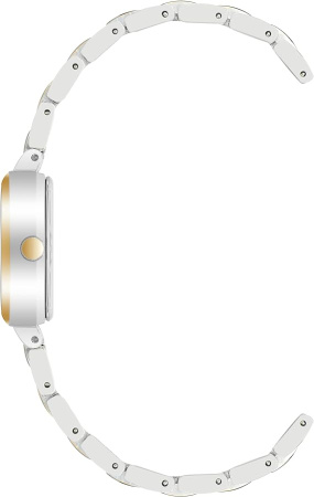 Часы наручные Anne Klein AK/4011SVTT