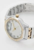 Часы наручные Anne Klein AK/5029MPTT