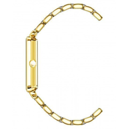 Часы наручные Anne Klein AK/3668GNGB