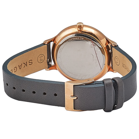 Часы наручные Skagen SKW2672