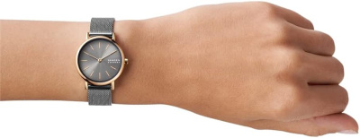 Часы наручные Fossil Skagen SKW2996
