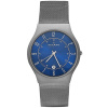 Часы наручные Skagen 233XLTTN Часы наручные Skagen 233XLTTN