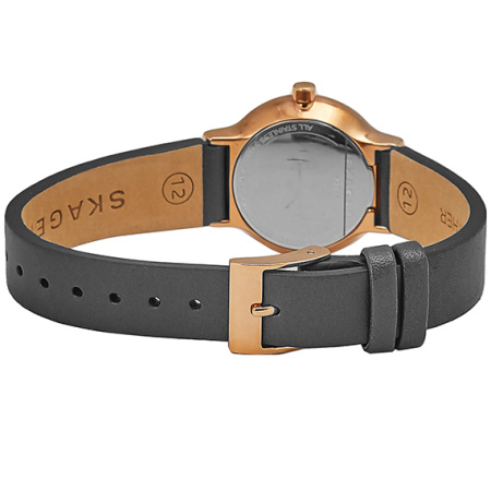 Часы наручные Skagen SKW2669