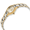 Часы наручные Anne Klein 10/6777SVTT