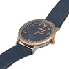 Часы наручные Emporio Armani AR2066