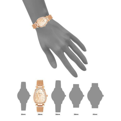 Часы наручные Anne Klein AK/5008PMRG